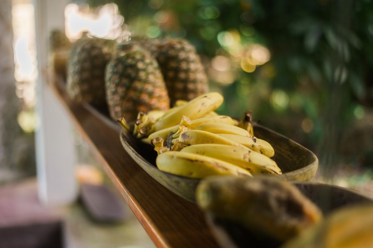 Omega Tours Eco-Jungle Lodge ラ・セイバ エクステリア 写真