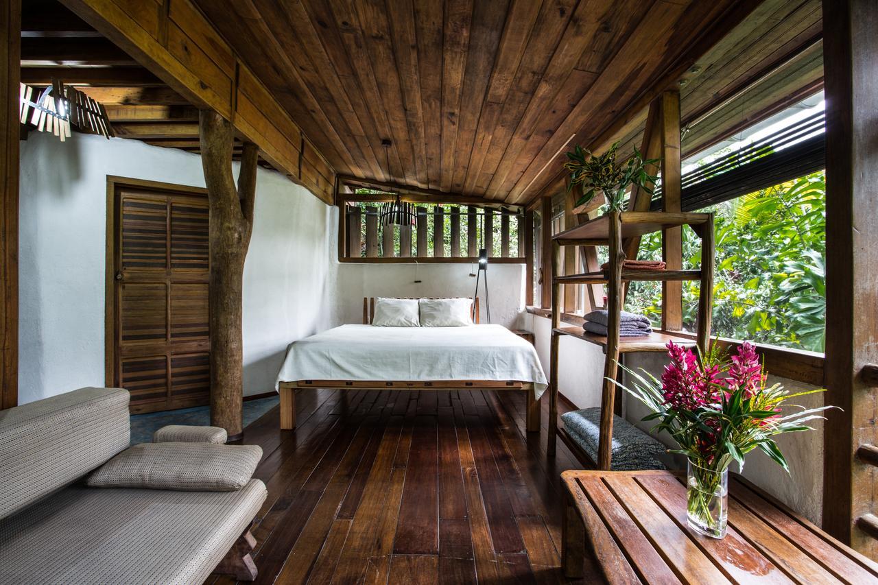 Omega Tours Eco-Jungle Lodge ラ・セイバ エクステリア 写真