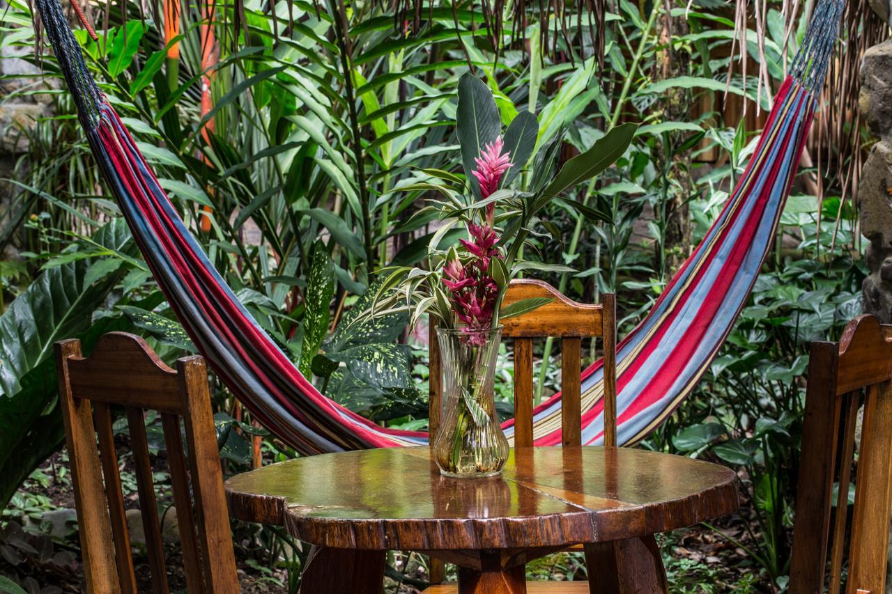 Omega Tours Eco-Jungle Lodge ラ・セイバ エクステリア 写真