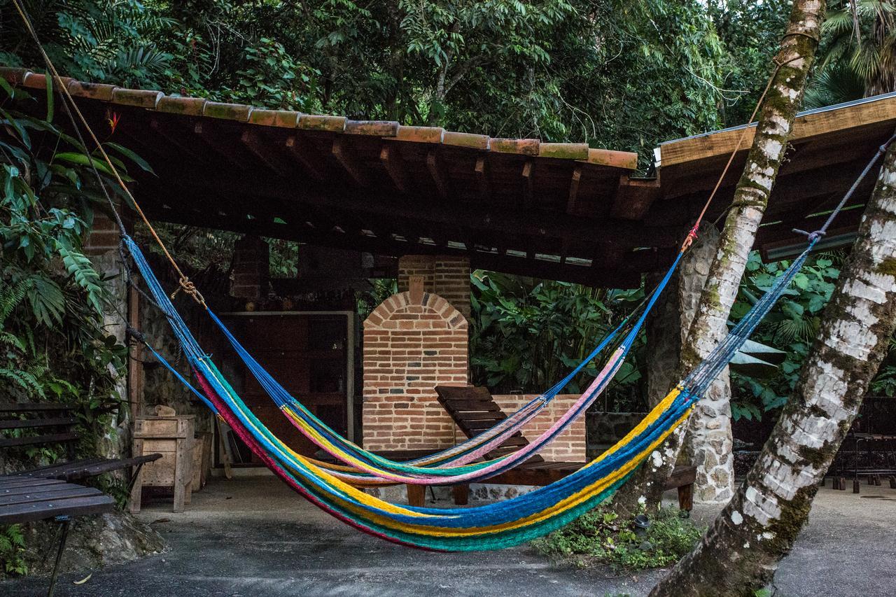 Omega Tours Eco-Jungle Lodge ラ・セイバ エクステリア 写真