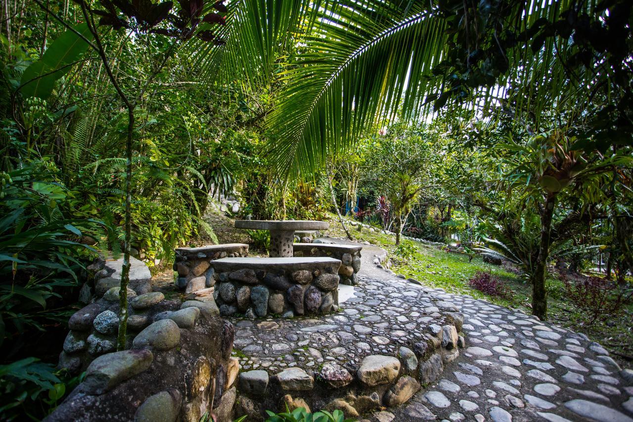 Omega Tours Eco-Jungle Lodge ラ・セイバ エクステリア 写真
