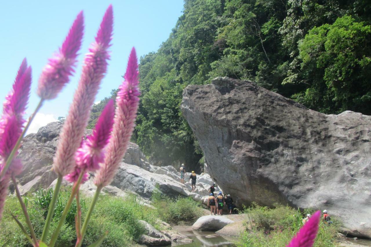 Omega Tours Eco-Jungle Lodge ラ・セイバ エクステリア 写真
