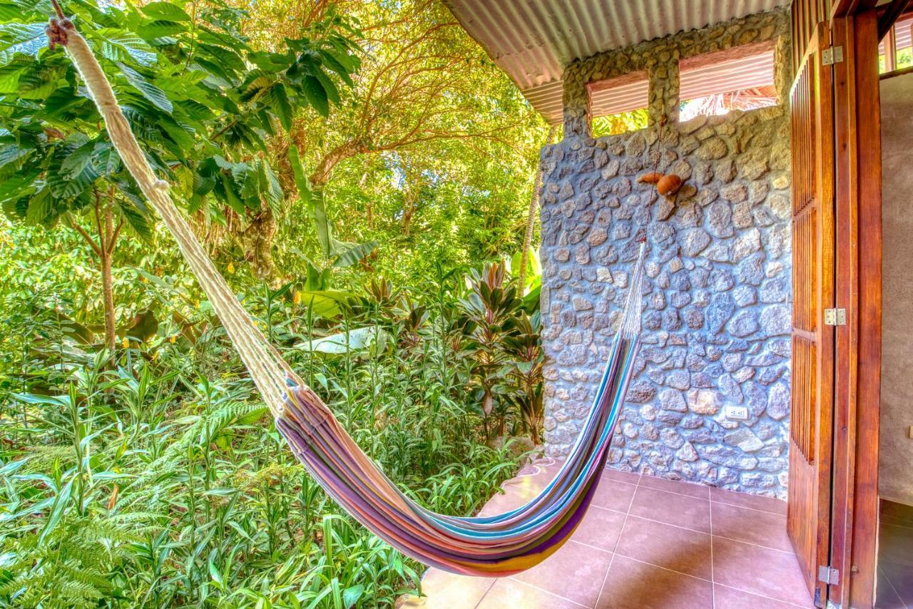 Omega Tours Eco-Jungle Lodge ラ・セイバ エクステリア 写真