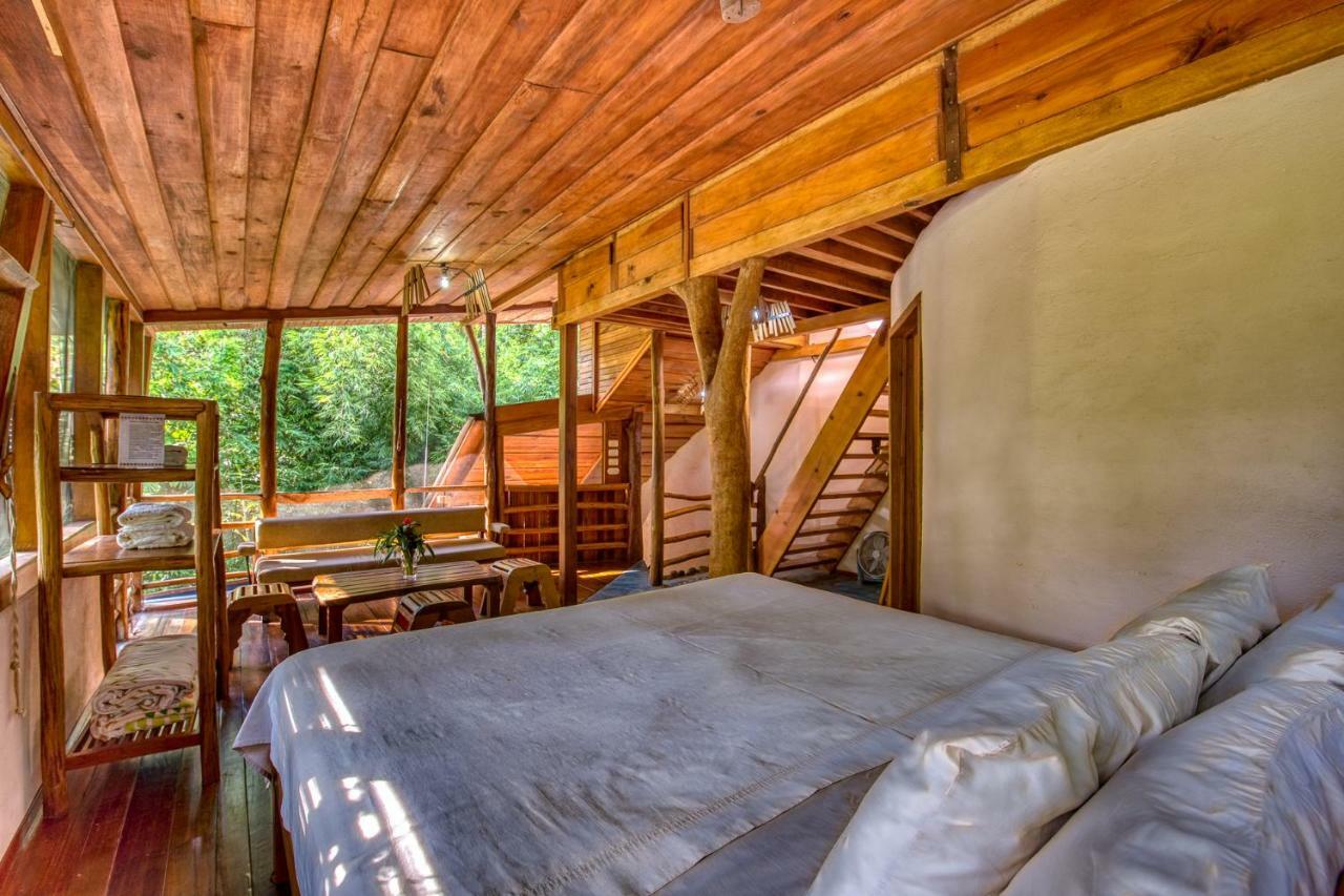 Omega Tours Eco-Jungle Lodge ラ・セイバ エクステリア 写真