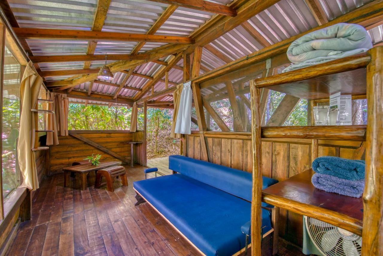 Omega Tours Eco-Jungle Lodge ラ・セイバ エクステリア 写真