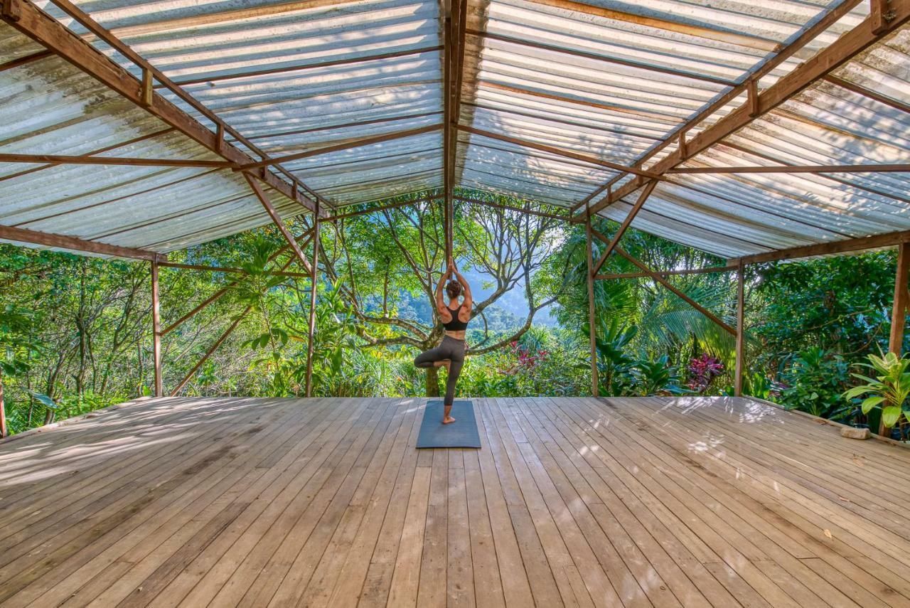 Omega Tours Eco-Jungle Lodge ラ・セイバ エクステリア 写真